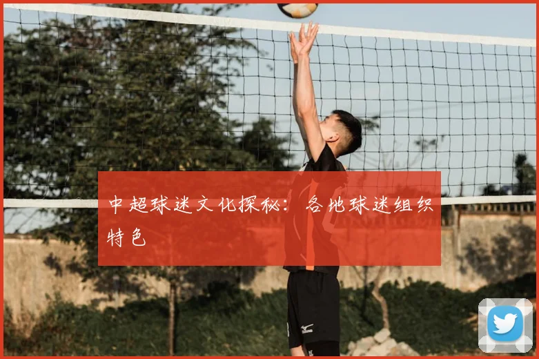 中超球迷文化探秘：各地球迷组织特色